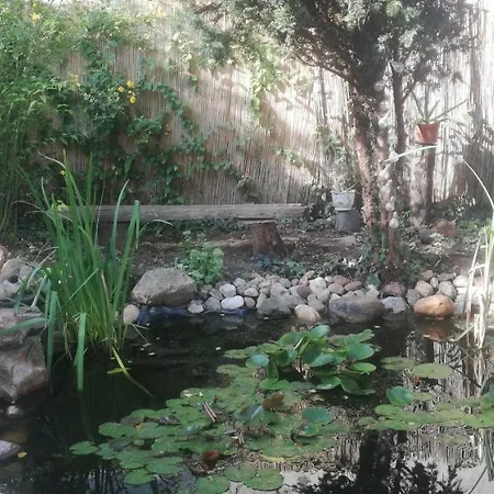 Rozsa Apartman Apartment