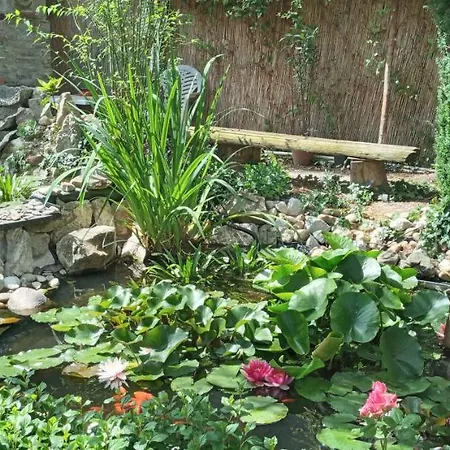 Rozsa Apartman Apartment