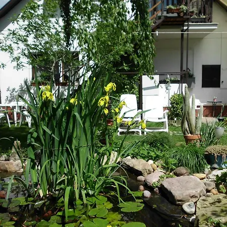 Apartment Rozsa Apartman